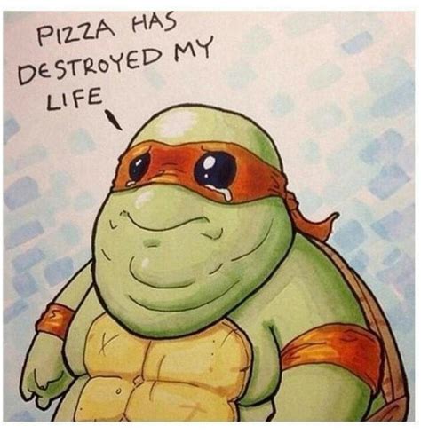 funny ninja turtle memes